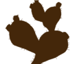 small silhouette of a cactus