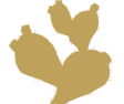 small silhouette of a cactus